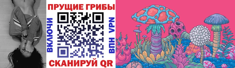 Галлюциногенные грибы Magic Shrooms  Артём 